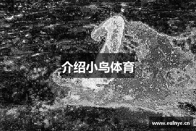 介绍小鸟体育